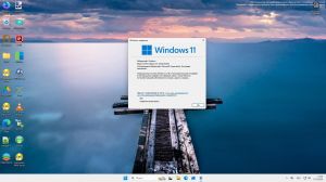 Windows 11 SE 24H2 (build 26100.8328) DiskExpansion by Alexandr1235 [04.2026] [Ru]