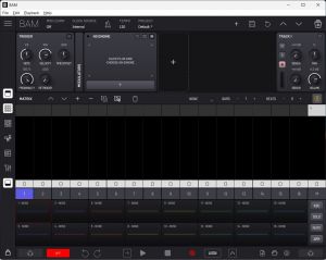 Imaginando BAM 1.7.0 [En]