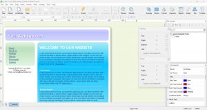 Quick 'n Easy Web Builder 13.0.0 [Multi]