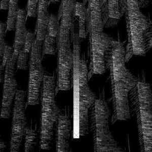 The Asteroid No.4 - In Praise Of Shadows