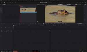 Blackmagic Design DaVinci Resolve Studio 21.0 Build 33 beta 3 RePack by KpoJIuK [Multi/Ru]