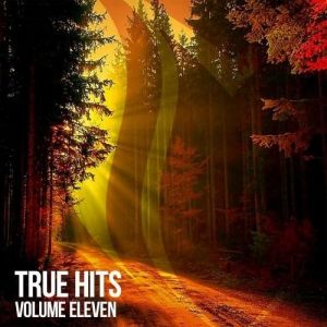 VA - True Hits, Vol. 11