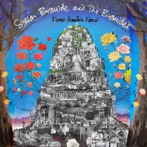 Simon Bromide - Forest Mountain Forest