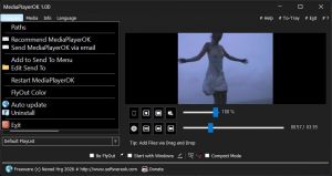 MediaPlayerOK 1.00 + Portable [Multi]