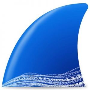 Wireshark 4.6.6 + Portable (x64) [Multi/Ru]