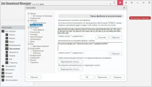 Ant Download Manager Pro 2.17.2 Build 95617 (x32) / Build 95618 (x64) RePack (& Portable) by Dodakaedr [Multi/Ru]