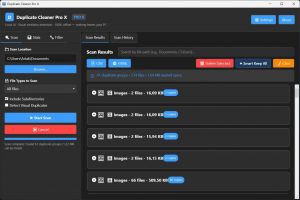 Duplicate Cleaner Pro X 1.2.0 RePack [En]