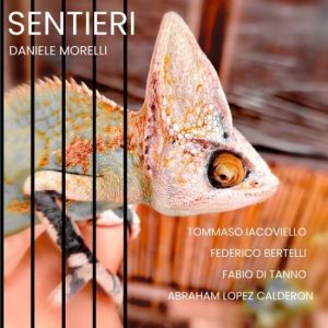 Daniele Morelli - Sentieri