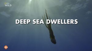 Nat Geo Wild: ��������� ������� ������