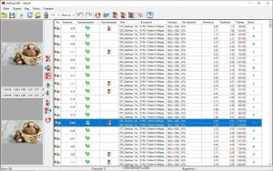 AntiDupl.NET 2.3.13 Portable [Multi/Ru]