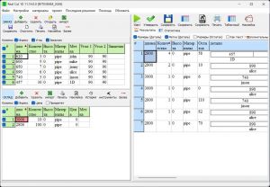 Real Cut 1D 11.14 + Portable [Multi/Ru]