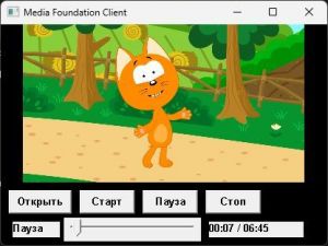 Media Foundation Client Portable 1.0 x64 [Ru]