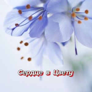���������� - ������ � �����