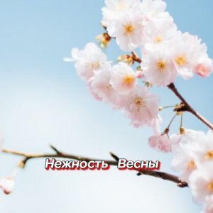 ���������� - �������� �����