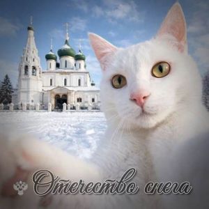 Vayper - ����� �� ����� ���� ����� (����� 02)