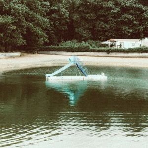 The Bird Experience - The Bird Experience