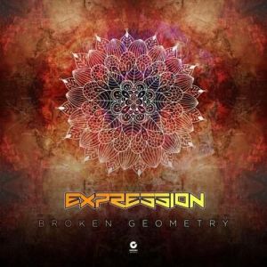 Psilocybe Project - Broken Geometry