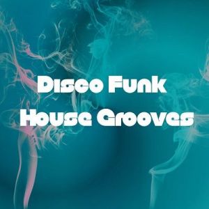 VA - Disco Funk House Grooves