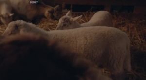 ����� � ������� ��