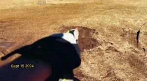 ������