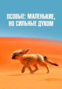������: ���������, �� ������� �����