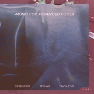 Daniel Bierdümpfl, Jakub Švejnar, Marina Tantanozi - Music for Advanced Fools