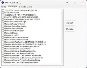 Win10Clean 1.1.0 Portable [En]