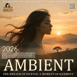 VA - The Breath Of Silence
