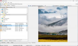 WildBit Viewer 6.20 + Portable [En]