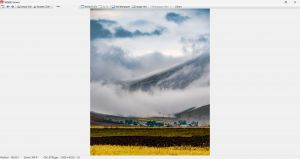 WildBit Viewer 6.20 + Portable [En]