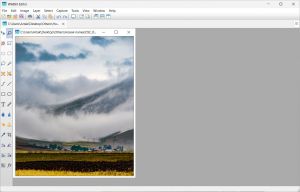 WildBit Viewer 6.20 + Portable [En]