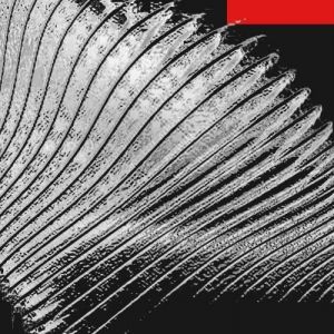 Danniel Selfmade - Fragments of Modular Mind