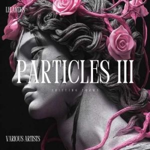 VA - Particles III