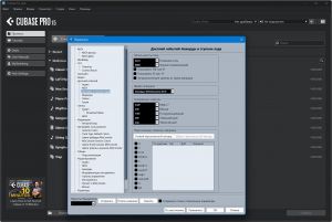 Steinberg Cubase Pro 15.0.30 Build 287 Portable by 7997 [Multi/Ru]