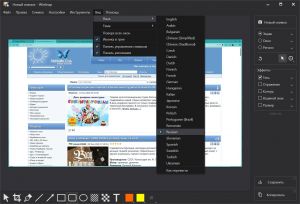 WinSnap 6.2.3 [Multi/Ru]
