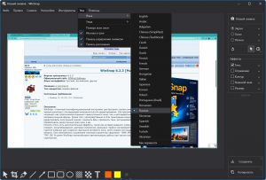 WinSnap 6.2.3 Portable by 7997 [Multi/Ru]
