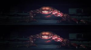 ������� ���: ��������� 3D