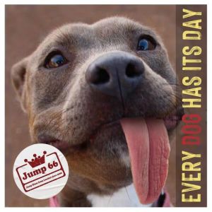 Jump 66 - Every Dog Has Its Day