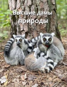 ������������ ����� � ������� / ������ ���� �������