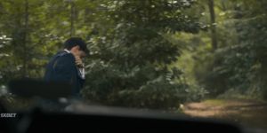 � ���� ������������ ����