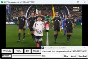 Streamlink 8.4.0 Mod Suite Portable by Alexandr1235 [En]