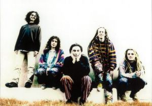  Ozric Tentacles - 28 albums