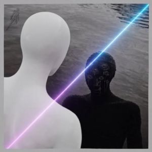 VA - Timeless, Vol. 23: Perception