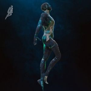 VA - Timeless, Vol. 22: Meridian