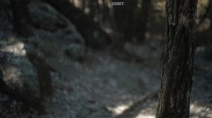 � ������ - �����