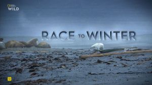Nat Geo Wild: �������� � ����