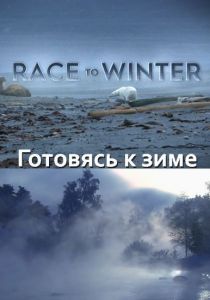Nat Geo Wild: �������� � ����