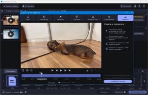 Movavi Video Converter 24.4.0 Portable by 7997 [Multi/Ru]