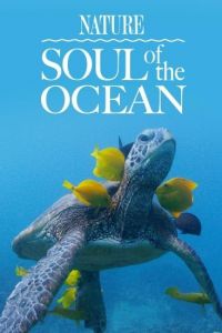 Nat Geo Wild: ���� ������