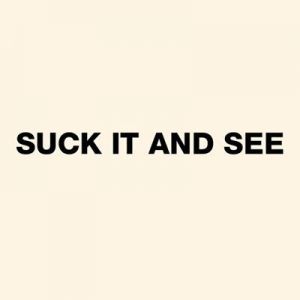Arctic Monkeys - Suck It And See